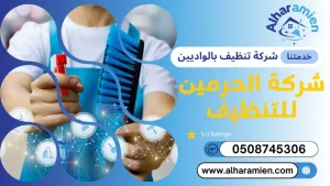 شركة تنظيف بالواديين