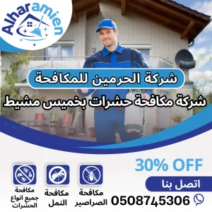 شركة مكافحة حشرات بخميس مشيط