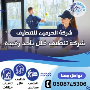 افضل شركة تنظيف فلل بأحد رفيدة