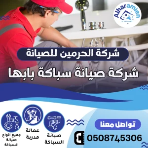 افضل شركة صيانة سباكة بابها